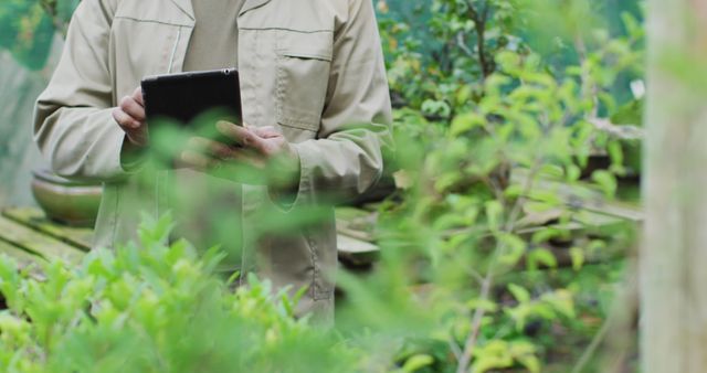 Gardener Using Digital Tablet in Greenhouse Environment - Download Free Stock Images Pikwizard.com