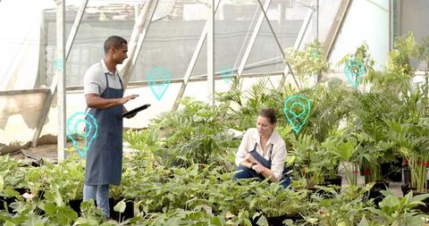 Greenhouse workers using tablet and augmented reality markers for monitoring potted plants