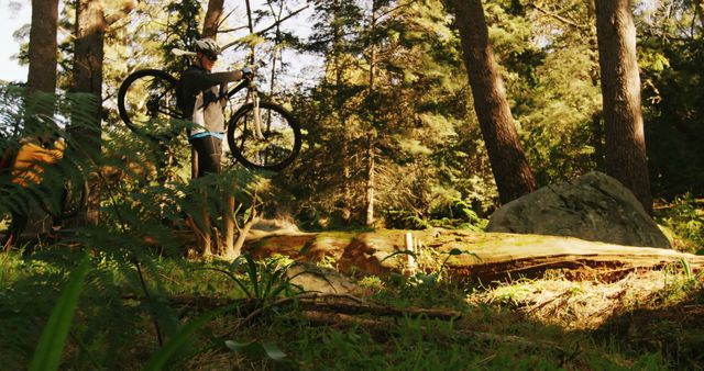 Mountain Biker Exploring Forest Trail in Early Morning Light - Download Free Stock Images Pikwizard.com