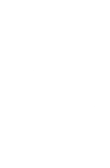 Transparent Silhouette Female Badminton Player Action - Download Free Stock Videos Pikwizard.com