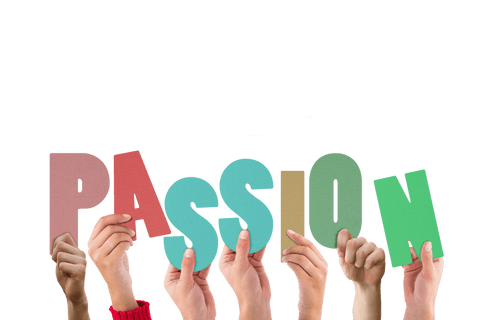 Hands Holding Passion Text on Transparent Background - Download Free Stock Videos Pikwizard.com