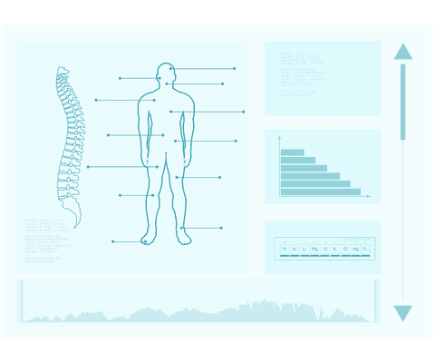 transparent anatomy illustration of human body and spine schematics - Download Free Stock Videos Pikwizard.com