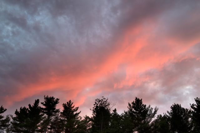 Vibrant pink and purple clouds spread across sky during sunset over silhouette of a dense forest. Perfect for themes relating to nature, tranquility, wilderness, or backgrounds in various projects. Suited for websites, blogs, calendars, and environmental campaigns.