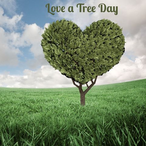 heart-shaped tree celebrating love a tree day - Download Free Stock Templates Pikwizard.com