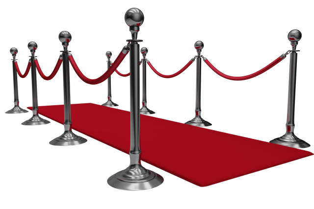 Transparent Red Carpet with Silver Rope Barrier Stanchions - Download Free Stock Videos Pikwizard.com