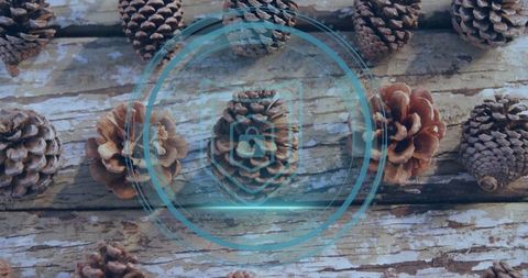 Digital Security Concept Illustrated with Pine Cones and Lock Overlay