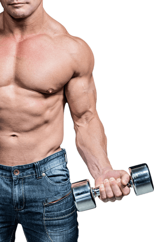 Transparent Muscular Arm with Dumbbell in Workout Action