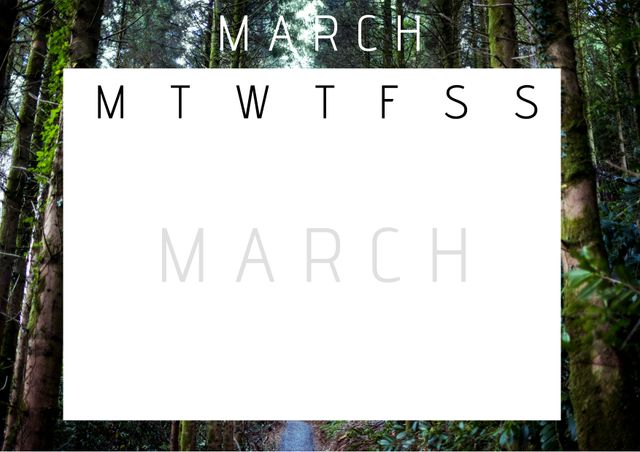 Use this March calendar template featuring a serene forested path background to organize your month. Perfect for planners and organizers, it provides a natural, calming backdrop.