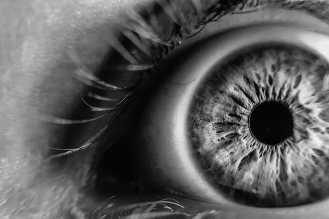 This image features a high-resolution close-up of a human eye with a focus on the detailed iris in black and white. Visible eyelashes and precise structures of the iris create a striking visual. Suitable for use in projects related to vision, human anatomy, or art collections. Ideal for educational books, anatomical guides, vision-related articles, or as a dramatic piece in a gallery.