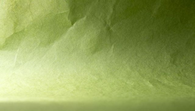 Crumpled olive paper backdrop curving into foreground showing soft left light