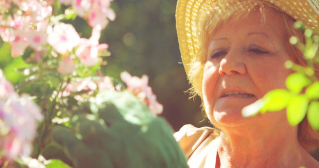 Senior Woman Gardening in Sunlight - Download Free Stock Images Pikwizard.com