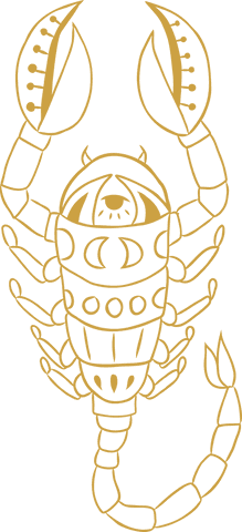 intricate scorpio symbol on transparent background - Download Free Stock Videos Pikwizard.com