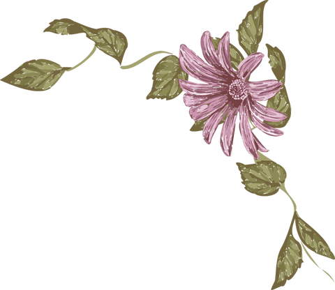 Transparent Hand-Painted Pink Daisy with Vine