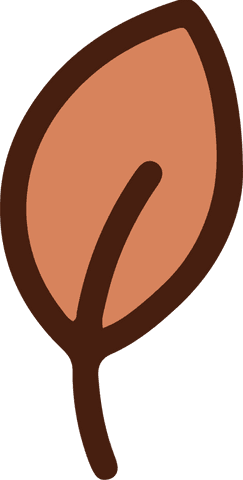 Stylized minimalist leaf on transparent background