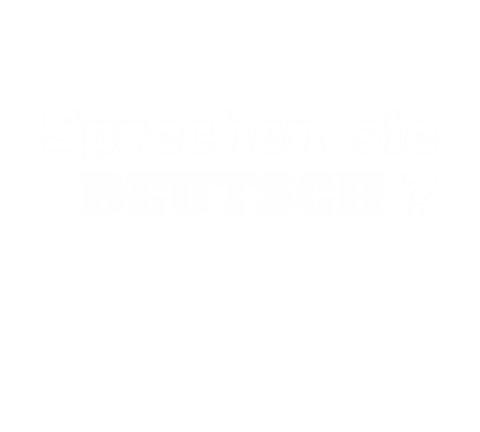 sprechen sie deutsch text on transparent background for language learning - Download Free Stock Videos Pikwizard.com