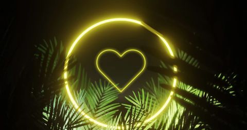 Neon Heart with Palm Fronds on Black Background