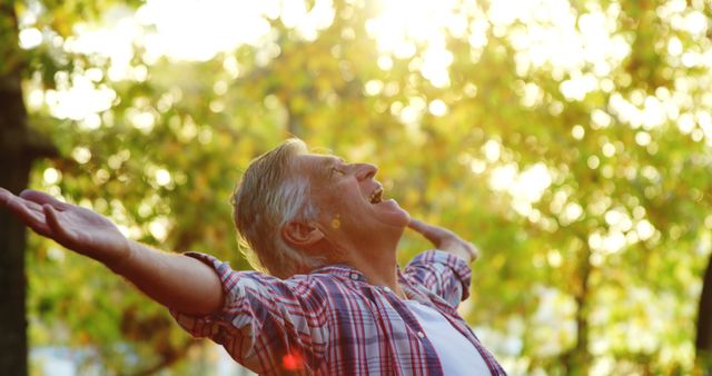 Senior Man Enjoying Nature with Arms Outstretched in Forest Park at Sunset - Download Free Stock Images Pikwizard.com