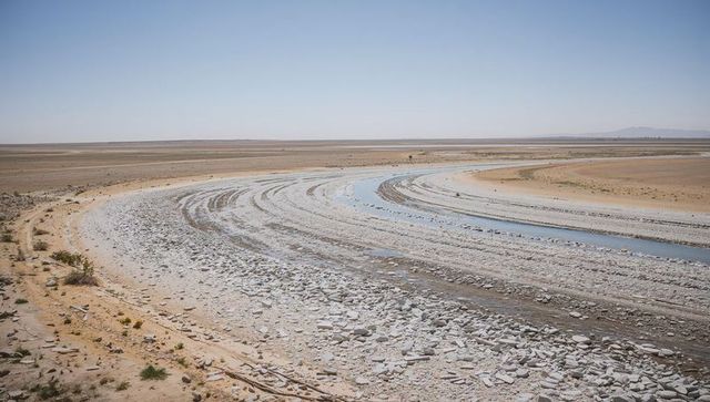 Meandering salt-encrusted channel on arid playa with cracked mud, sparse shrubs, blue sky