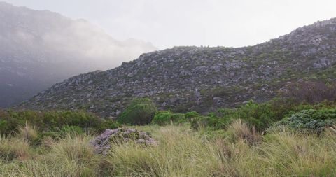 Senior Hikers Walking in Mountain Landscape