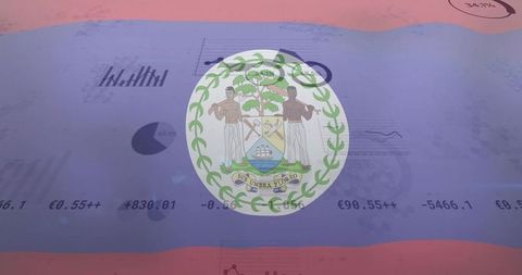 Belize coat of arms on financial analytics background