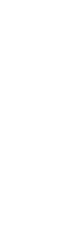 Transparent Silhouette of Male Footballer Celebrating