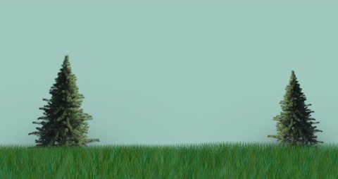 Minimalistic Conifer Trees on Calm Blue Background