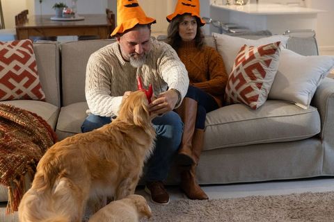 Couple wearing pumpkin hats offering red devil horns to golden retriever on cozy sofa