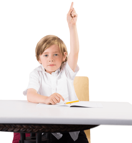 young schoolboy raising hand with book on transparent background - Download Free Stock Videos Pikwizard.com