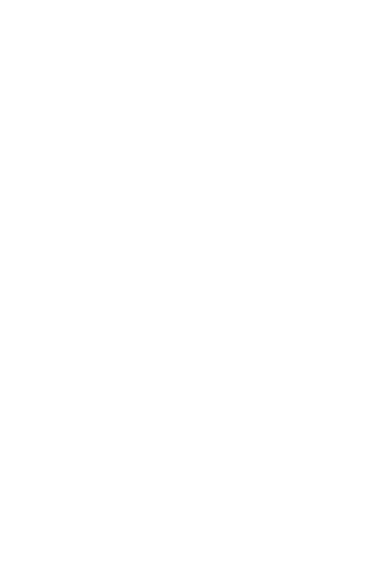 Silhouette of Sportsman Lifting Weights on Transparent Background - Download Free Stock Videos Pikwizard.com