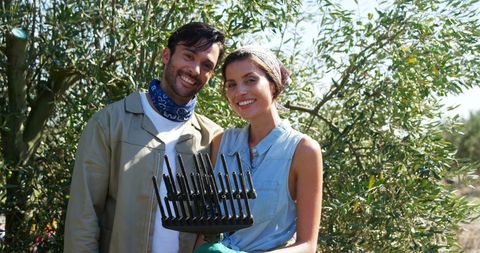 Young Couple Harvesting Olives at Farm - Download Free Stock Images Pikwizard.com