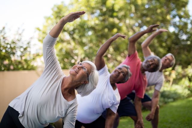 Senior individuals engaging in a group exercise session in a park. They are stretching with arms raised, promoting physical fitness and a healthy lifestyle. Ideal for use in health and wellness campaigns, retirement community promotions, and fitness programs for the elderly.