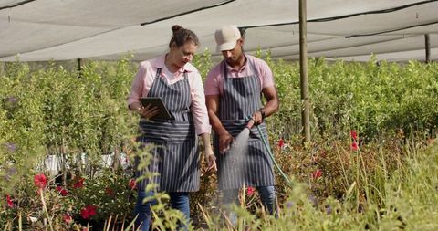 Garden Nursery Team Working with Tablet and Watering Plants