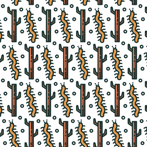 transparent background botanical insect pattern png - Download Free Stock Videos Pikwizard.com