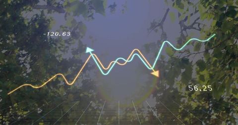 Financial Trends in Nature: Data Visualization Over Lush Greenery