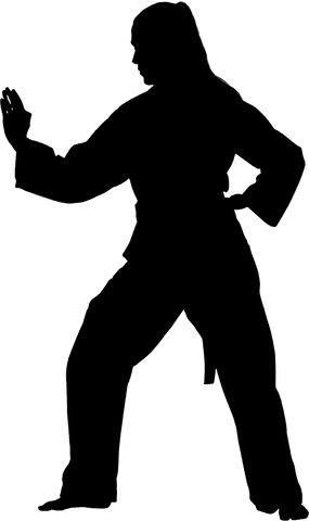 silhouette of female martial artist on transparent background - Download Free Stock Videos Pikwizard.com