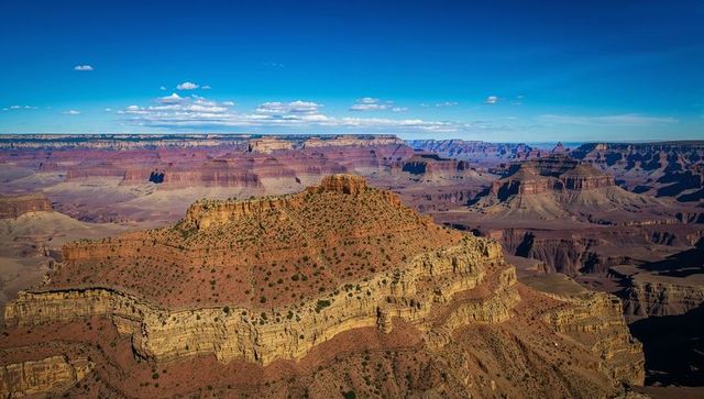 Sunlit stratified mesa showing layered rock strata and scattered shrubs at canyon rim