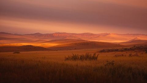 Golden hour desert dunes with rolling grasses, layered horizon and warm evening light