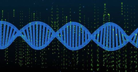 Digital DNA Strand with Binary Code Matrix