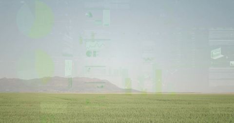 Serene agricultural field with data visualization layers