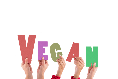 Hands Holding Vegan Text on Transparent Background - Download Free Stock Videos Pikwizard.com