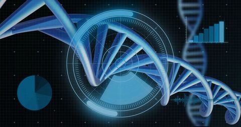 Digital DNA Strand Visualization with Data Graphics - Download Free Stock Images Pikwizard.com