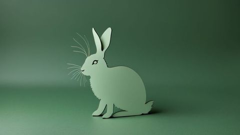 Minimalist green cottontail rabbit silhouette in studio