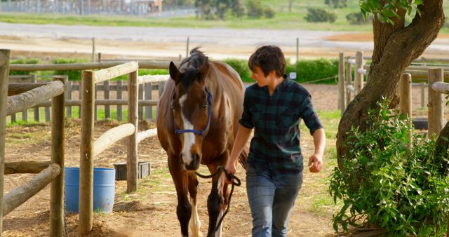 Young Man Leading Horse by Bridle on Farm - Download Free Stock Images Pikwizard.com