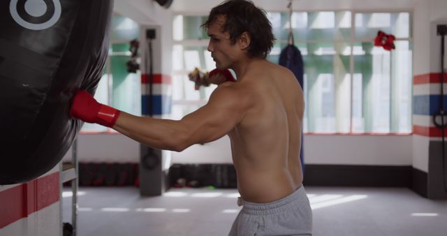 Shirtless Male Boxer Training with Heavy Punching Bag in Gym - Download Free Stock Images Pikwizard.com