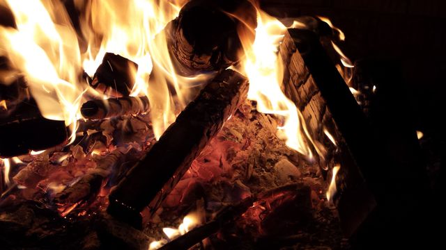 Close-up of Glowing Campfire with Burning Wood Logs - Download Free Stock Photos Pikwizard.com