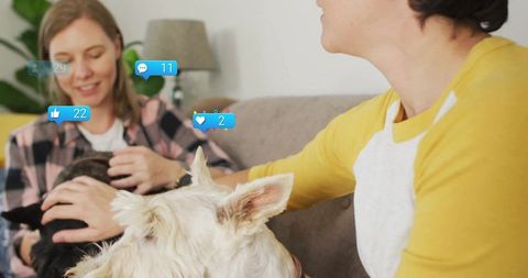 Friends Relaxing with Dogs Enhanced by Social Media Interactions