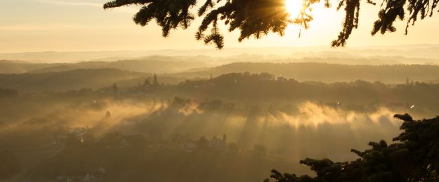 Sunrise over hazy hills with sun rays filtering through trees - Download Free Stock Photos Pikwizard.com