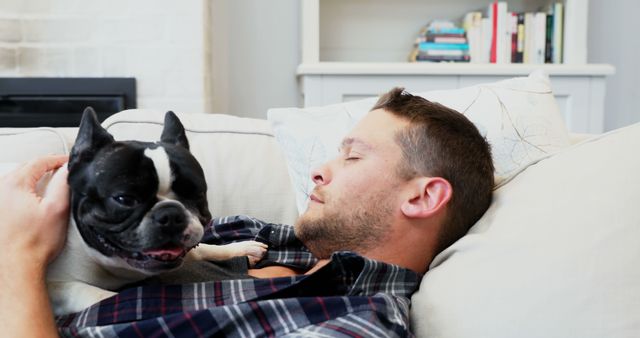 Man Relaxing on Couch with French Bulldog Sleeping on Chest at Home - Download Free Stock Images Pikwizard.com