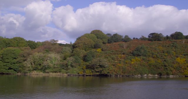 Serene Landscape of Lush Trees and Calm River under Blue Sky - Download Free Stock Images Pikwizard.com