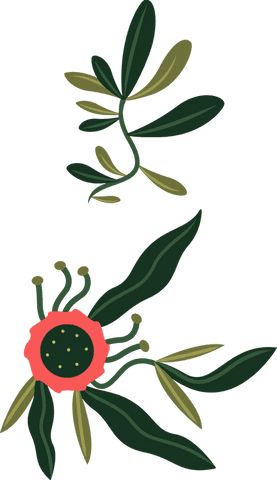 Flat Botanical Vector Design with Leaf Clusters and Red Flower Transparent